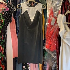 Ann Taylor shift dress NWT